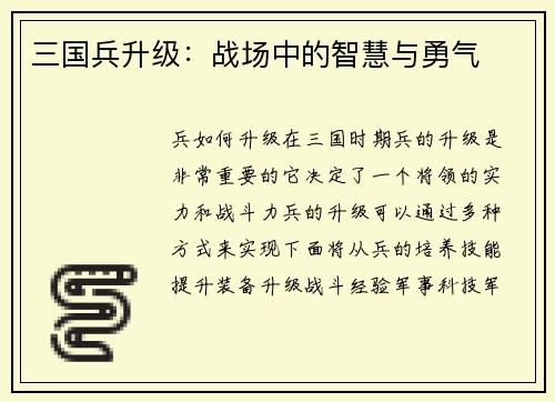 三国兵升级：战场中的智慧与勇气