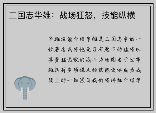 三国志华雄：战场狂怒，技能纵横